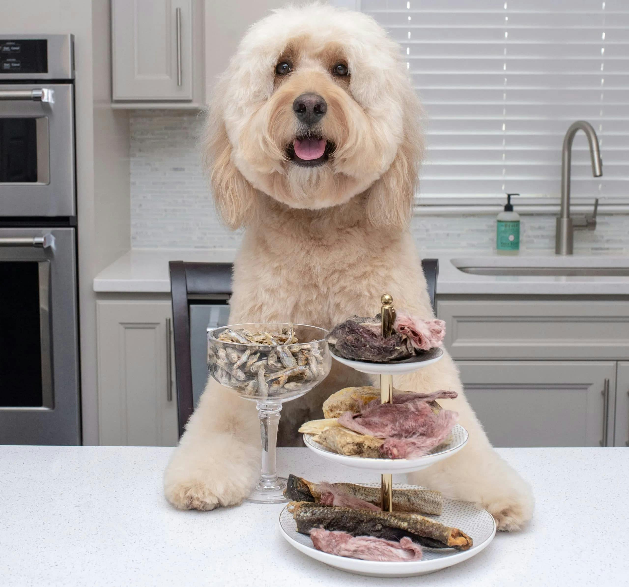 Choosing the Best Vital Essentials Raw Bar for Your Pet