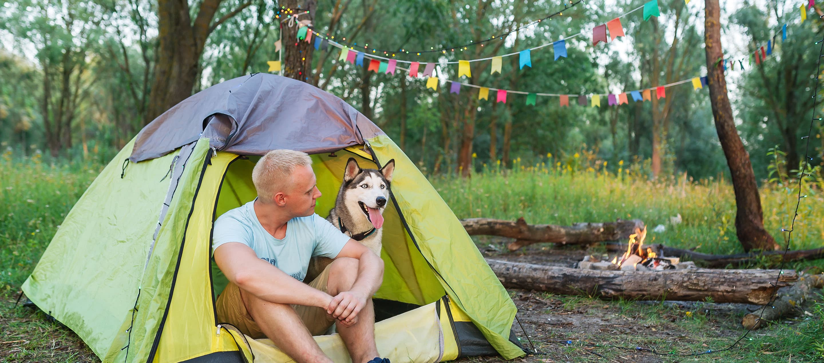Camping With Dogs: What You Need to Know