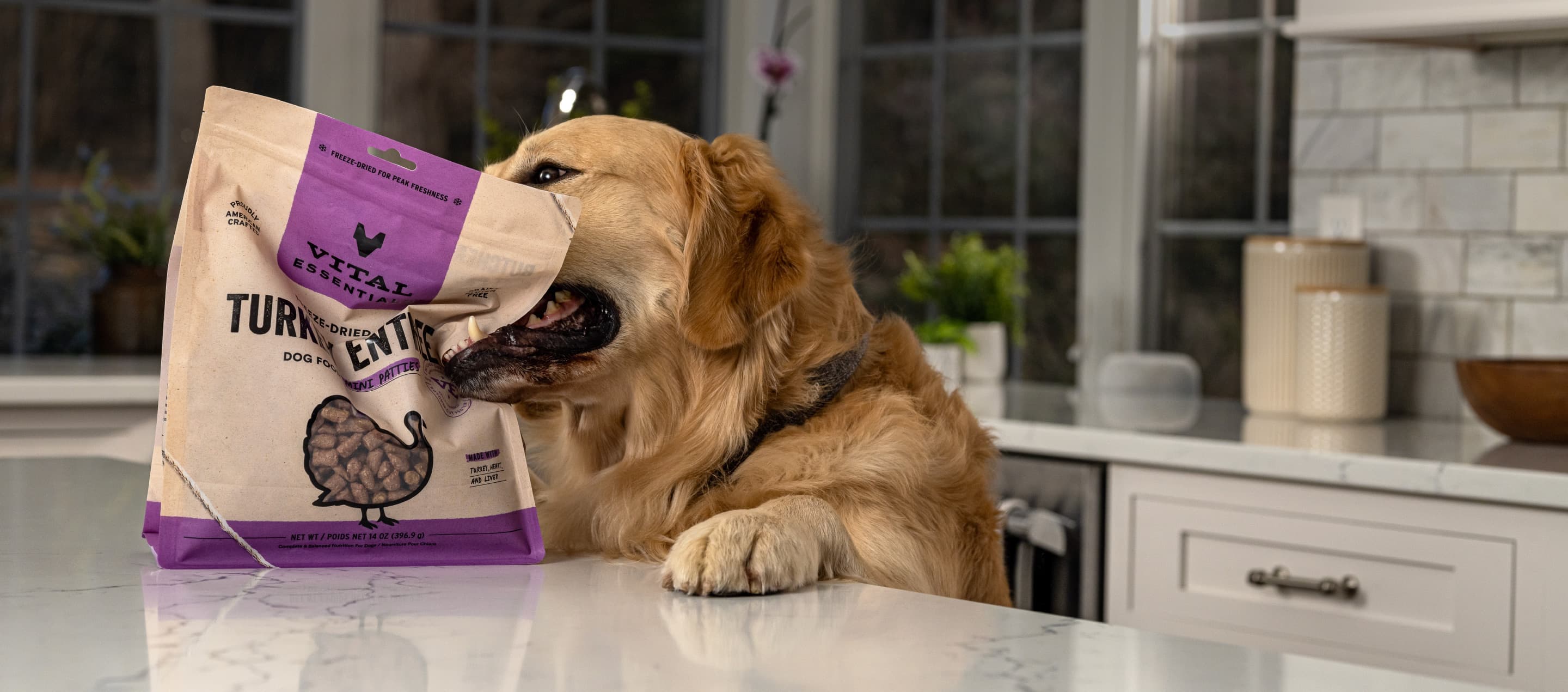 The Many Benefits of Raw Feeding